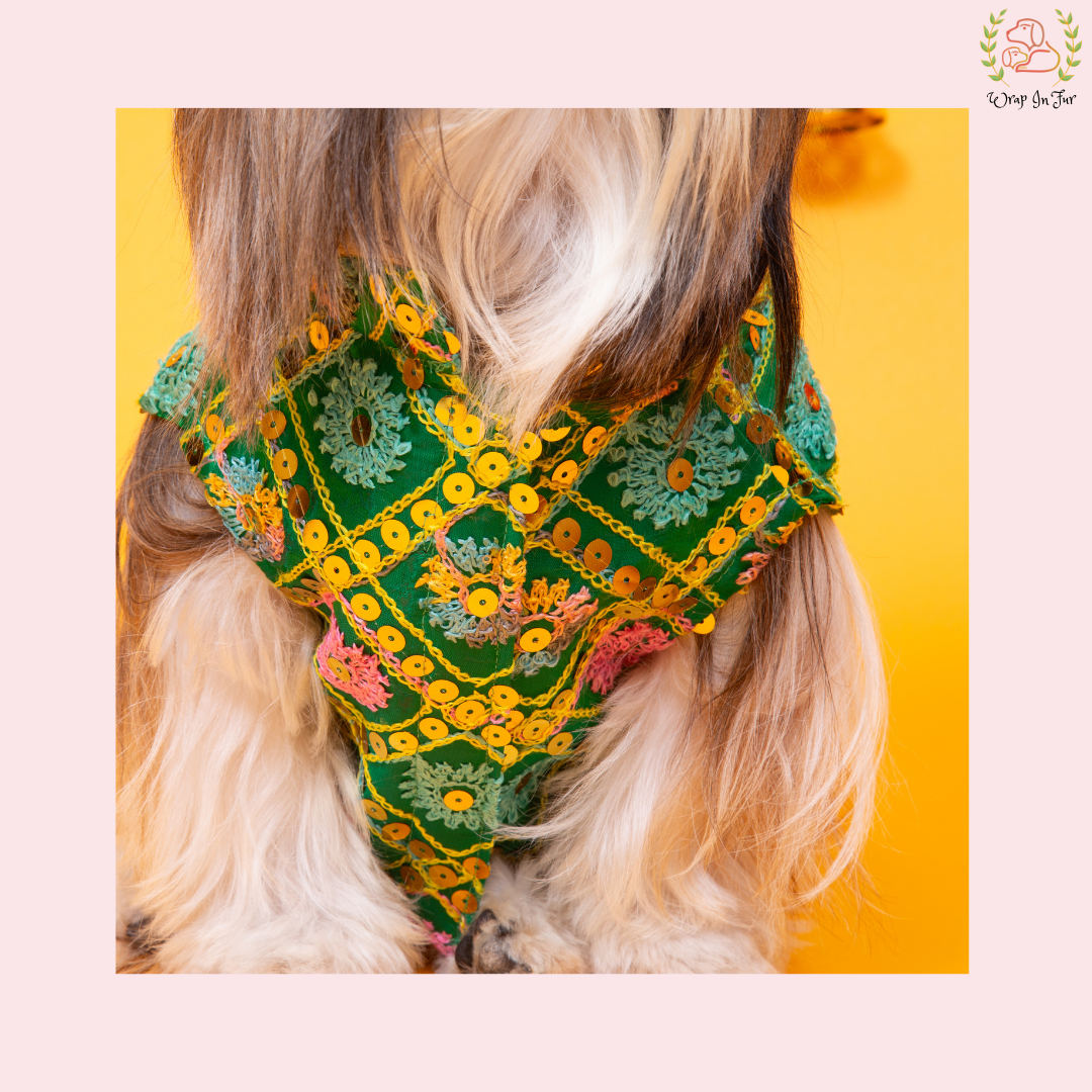Green Jhilmil Dog Jacket