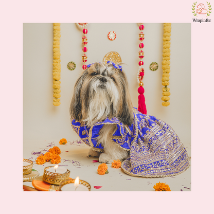 Blue Mastani Dog Lehenga Choli