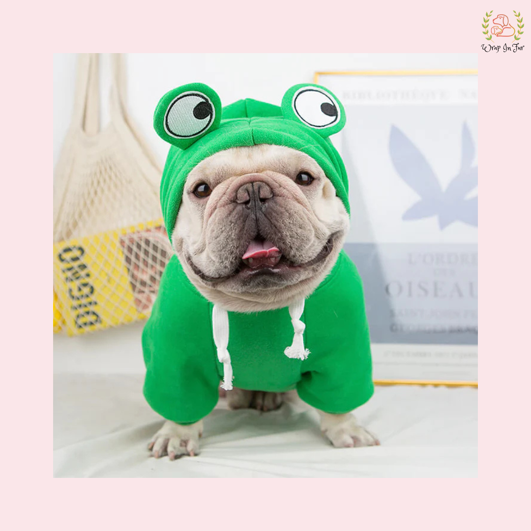 Froggy Hoodie