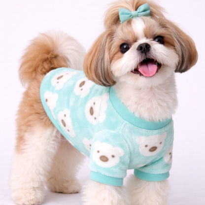 Teal Teddy Soft Winter TShirt: Cozy Winter Wear for All Breeds