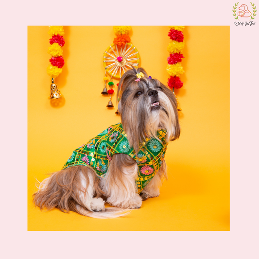 Green Jhilmil Dog Jacket