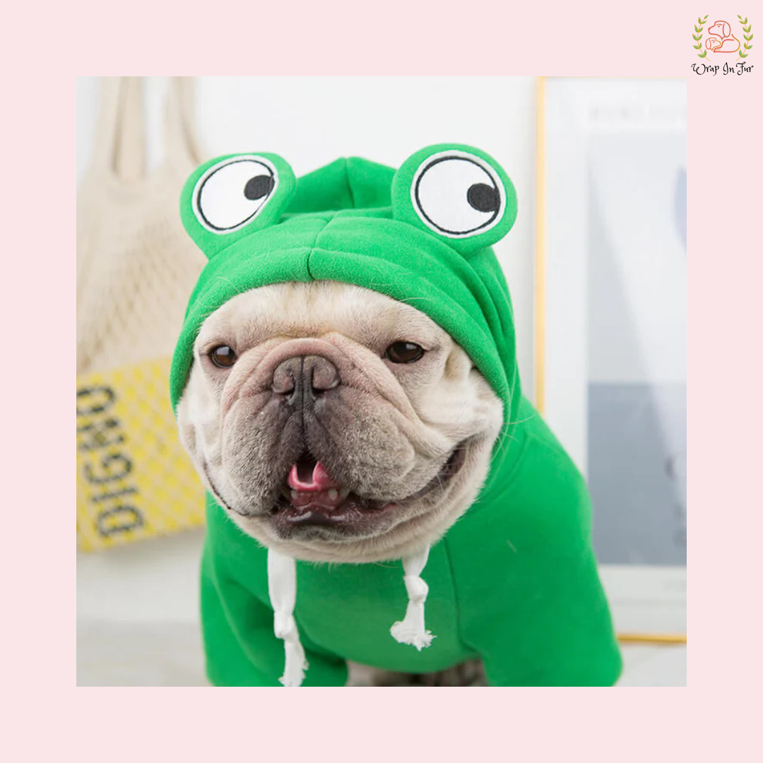 Froggy Hoodie