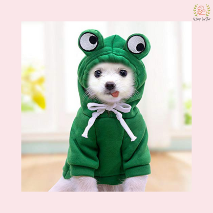 Froggy Hoodie