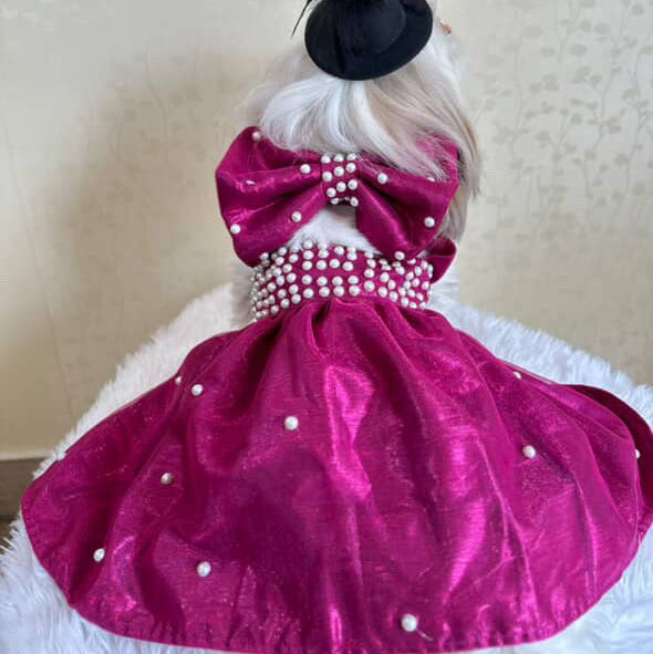 Dog wearing a pink dress with pearl details on a white background
