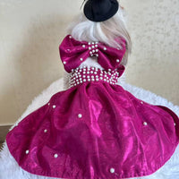 Dog wearing a pink dress with pearl details on a white background