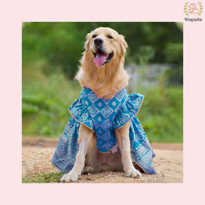 Sky Blue Mastani Dog Lehenga Choli