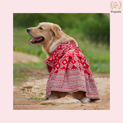 Red Mastani Dog Lehenga Choli