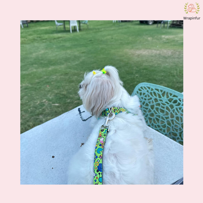 Green Fab Harness With Leash