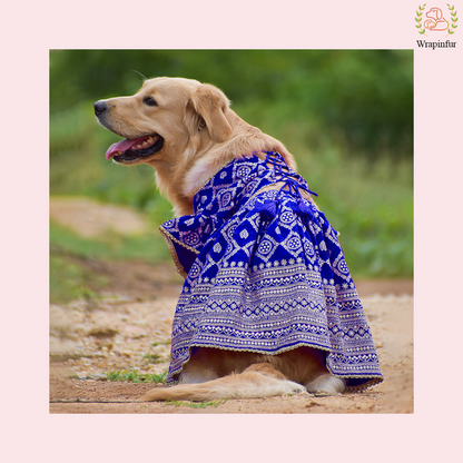 Blue Mastani Dog Lehenga Choli