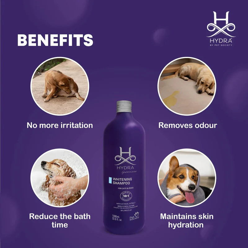 Hydra Groomers Whitening Shampoo for Dogs & Cats 1L | Coat Brightener