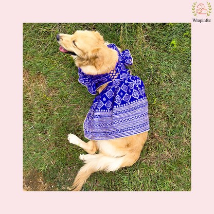 Blue Mastani Dog Lehenga Choli