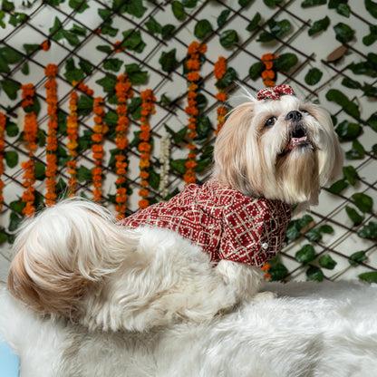 Maroon Pearl Gota Kurta