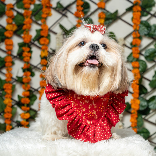 Red Golden bandana