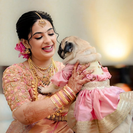 Woman in traditional attire holding a pug in a pink outfit. Traditional dog frock