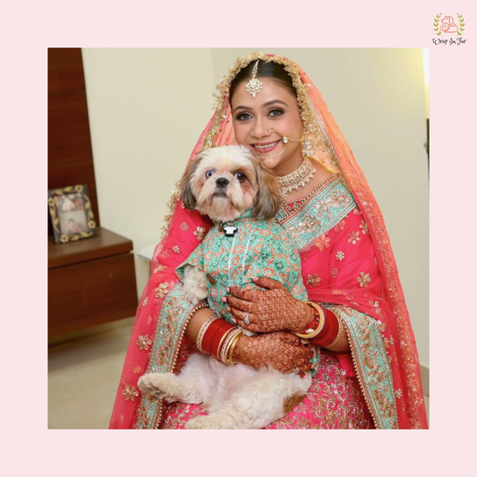 Aqua Orange Gota Dog Kurta - Premium Indian Traditional Dog Kurta Dress