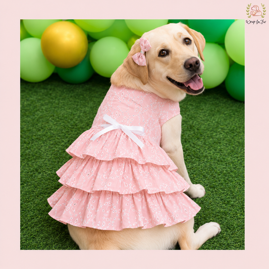Labrador baby Pink Embroidered Dog Princess frock