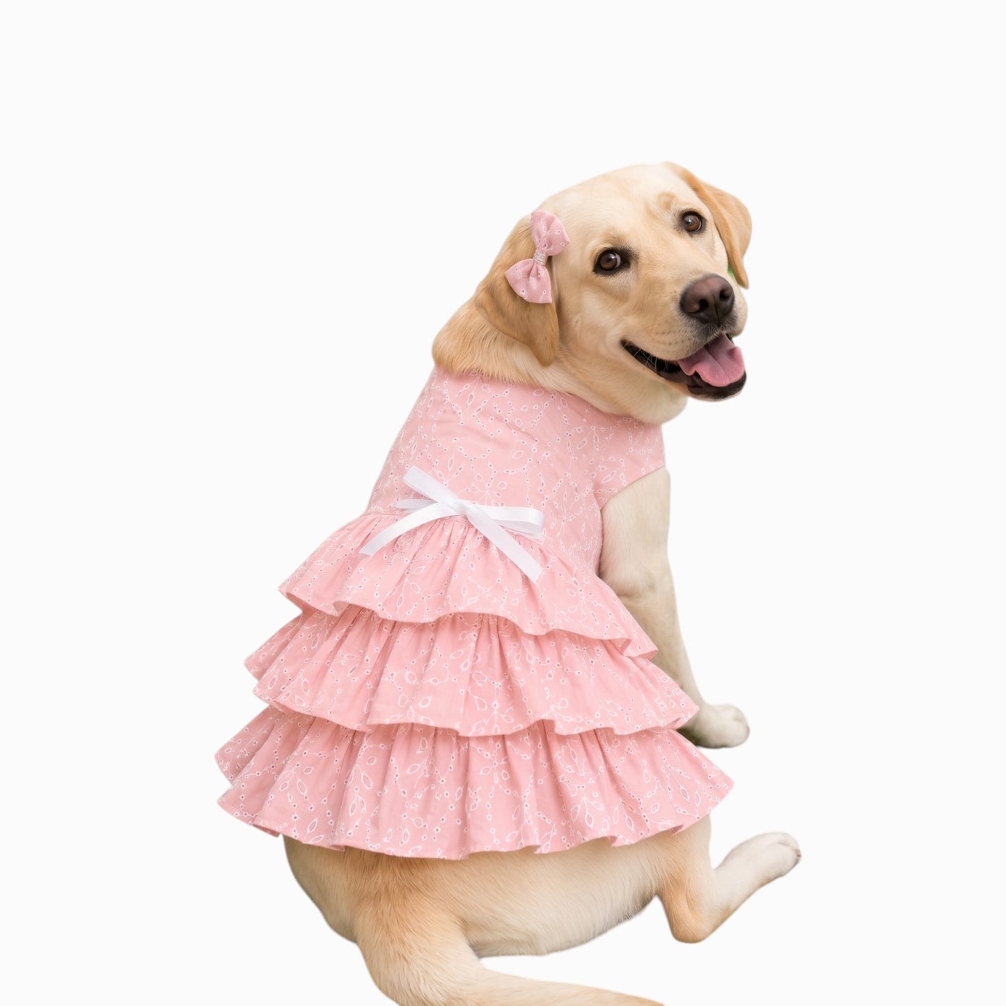 Baby Pink Embroidered Dog Princess Frock