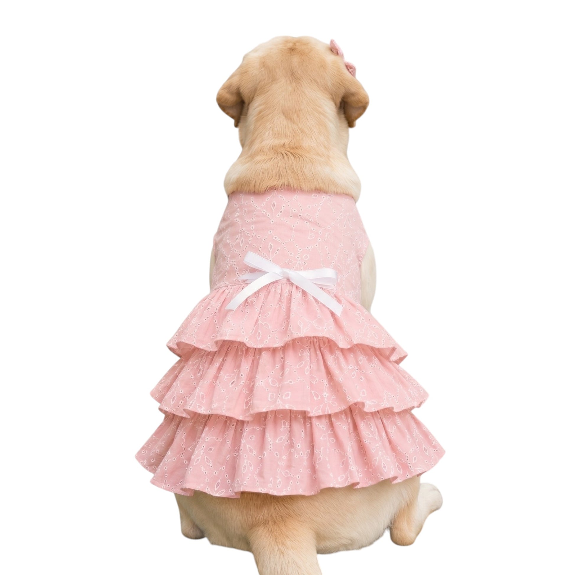 Baby Pink Embroidered Dog Princess Frock
