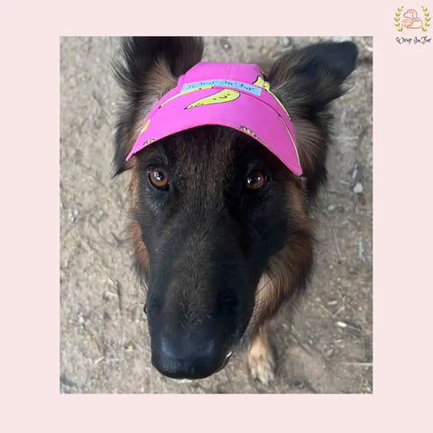 Banana Dog Cap