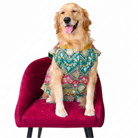 buy Barfee Dog Sherwani
