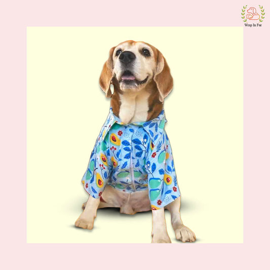 Beagle Avocado dog shirt