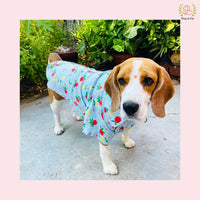 Stripe Dog Shirt