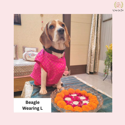 Beagle Pink festive dog jacket