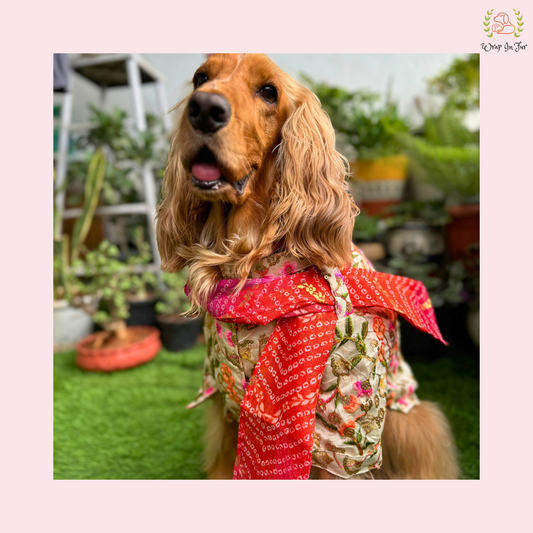 Beige Floral Embroidered Dog Kurta Dress with Dupatta - Indian Dog Ethnic Wear