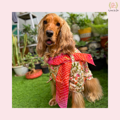 Beige Floral Embroidered Dog Kurta Dress with Dupatta - Indian Dog Ethnic Wear