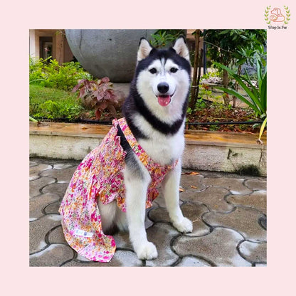 pink floral frock for big dog