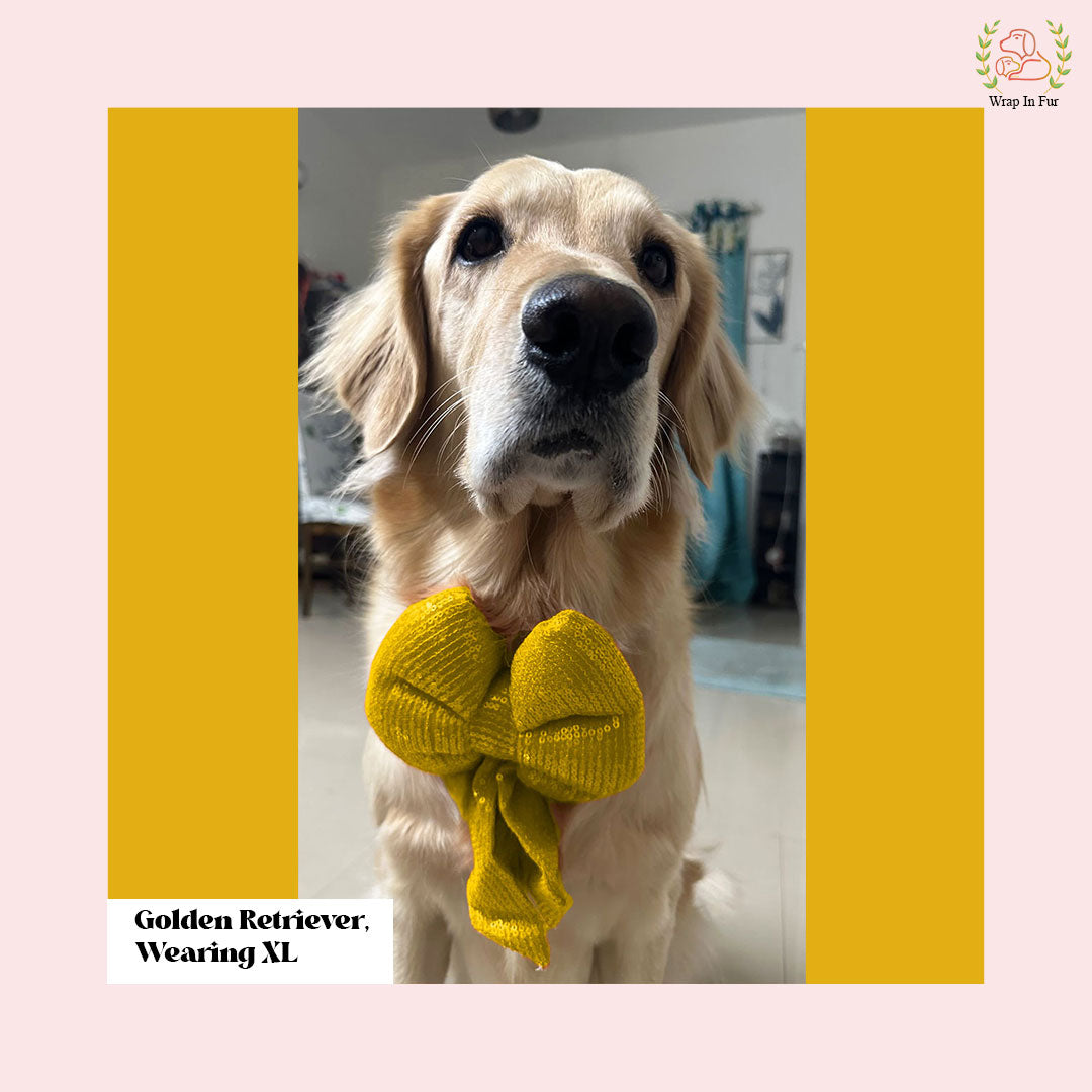 Shop Yellow bling dog birthday bow