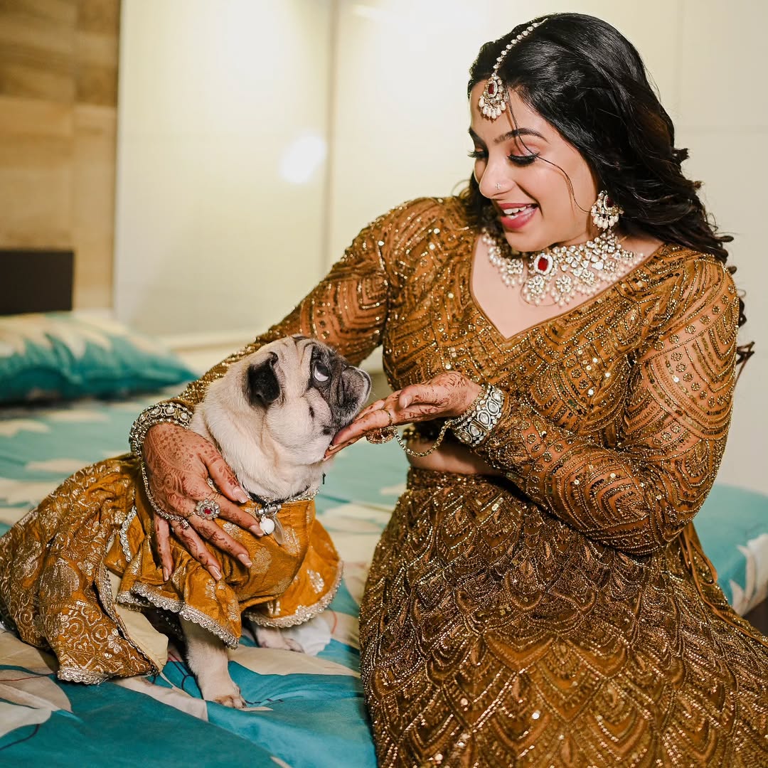 Fern green Lehenga for Dogs