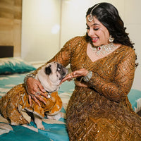 Fern green Lehenga for Dogs