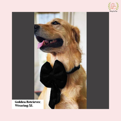 Buy Big dog black bling bow for party and functions