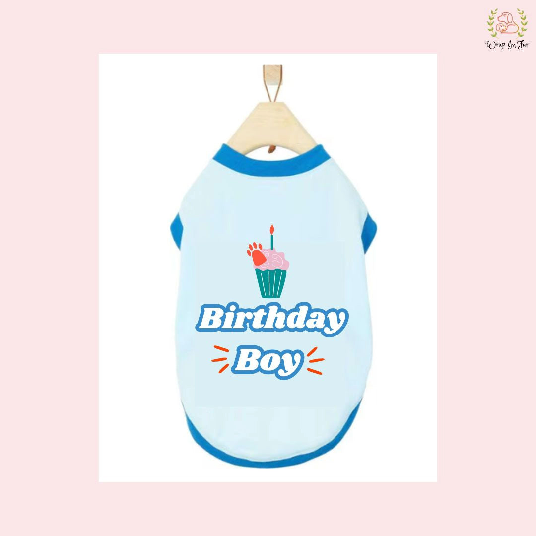 Buy Birthday Boy dog tshirt Dress Online