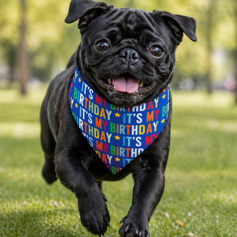 Birthday Bandana For dogs