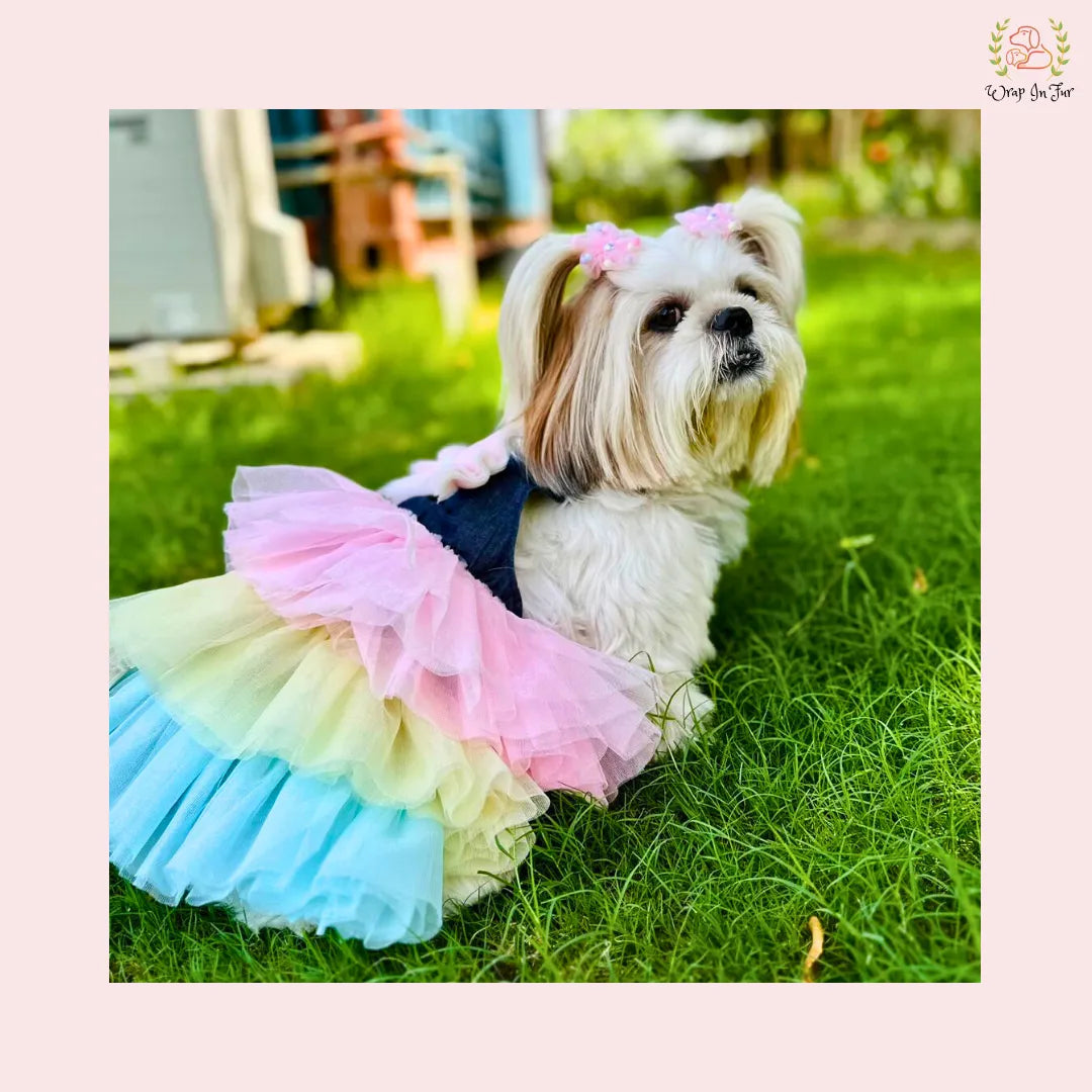 birthday cotton candy dog dress