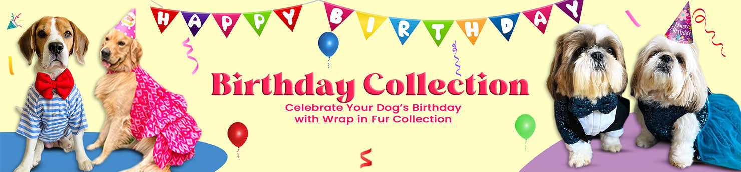 dog birthday collection dress