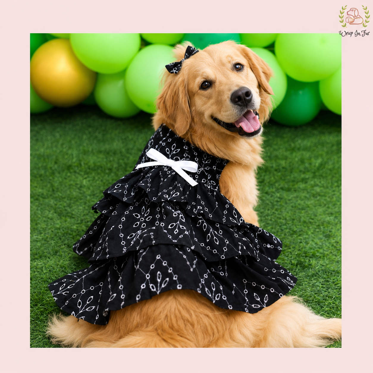 Black Embroidered Dog Princess Frock – Wrapinfur