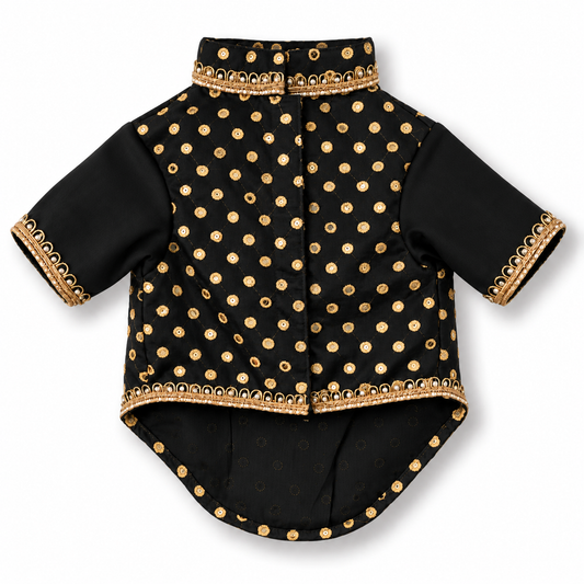 Black Gold Dog Kurta