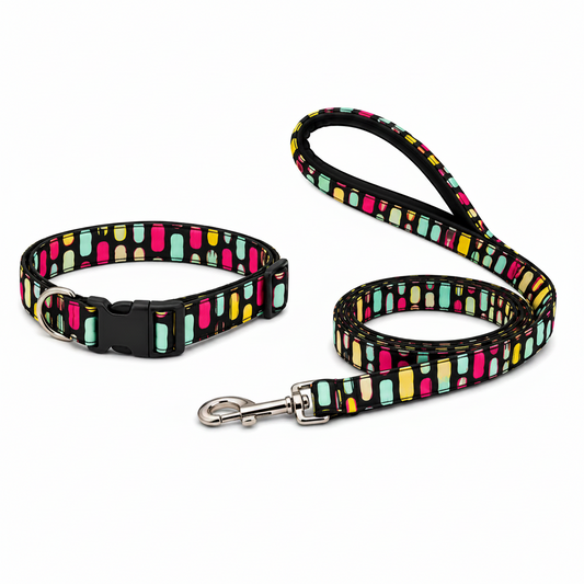Black Multicolor Dog Collar with Leash