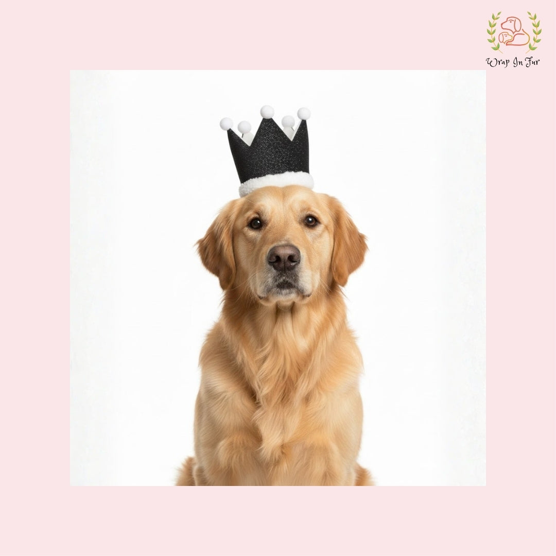 Black Birthday Crown for Dogs – Party Hat & Celebration Accessory