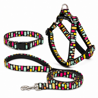 Black Multicolor Dog Harness with Collar Leash Set