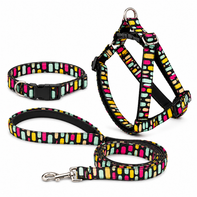 Black Multicolor Dog Harness with Collar Leash Set