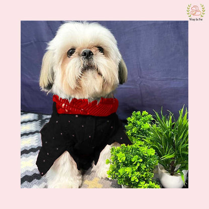Black & Red Mirror Work Dog Kurta Set - Indian Dog Ethnic Wear