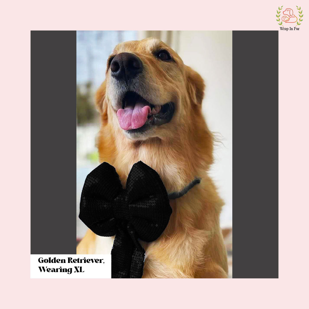 Black Sequin Dog Bow - Shimmering Midnight Holiday Pet Hair Bow Accessory