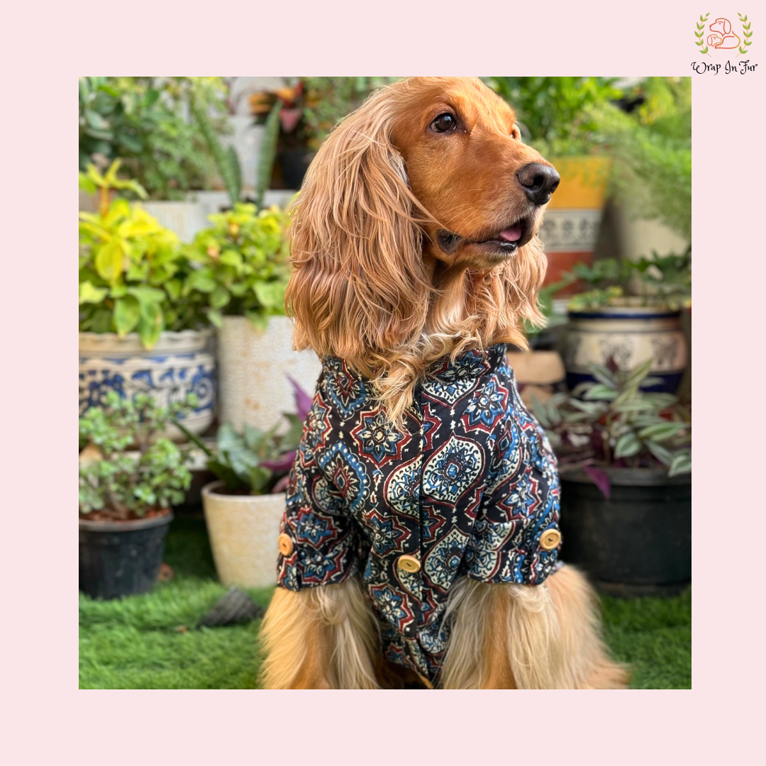 Black Traditional Block Print Dog Kurta - Indian Dog Ethnic Wear Dress