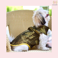 Black dog sherwani for wedding
