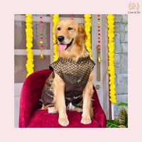 Black Dog Sherwani for Wedding
