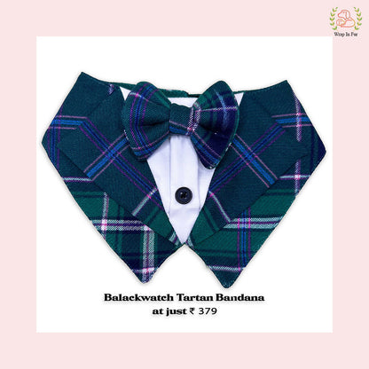 Blackwatch Tartan Tuxedo Style Dog Bandana - Festive Accessory